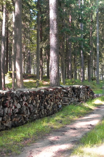Holzstoß am Waldweg